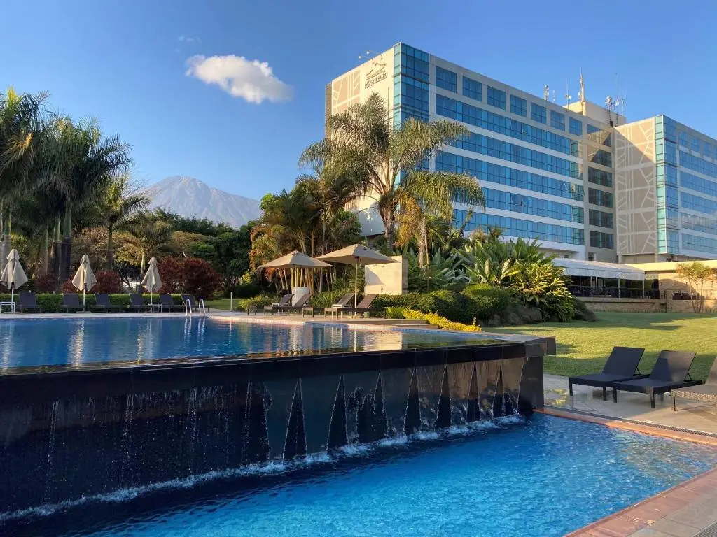 Resort swimming pool among palm trees
