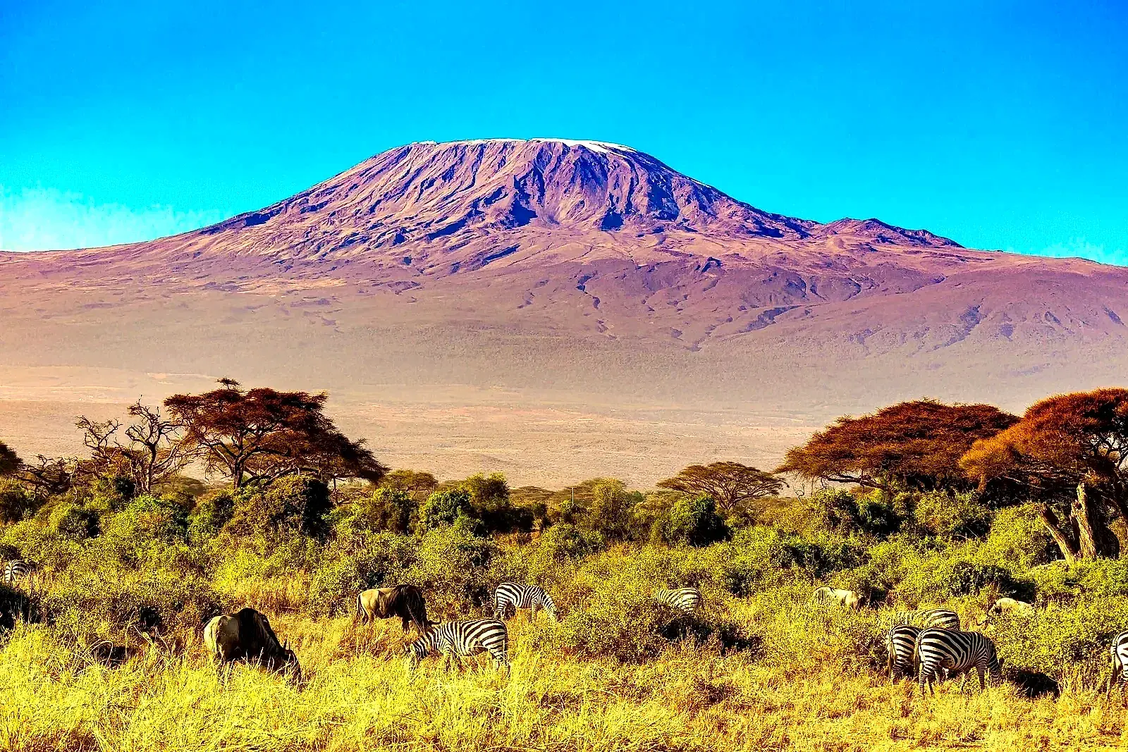 Mount Kilimanjaro rising above the plains