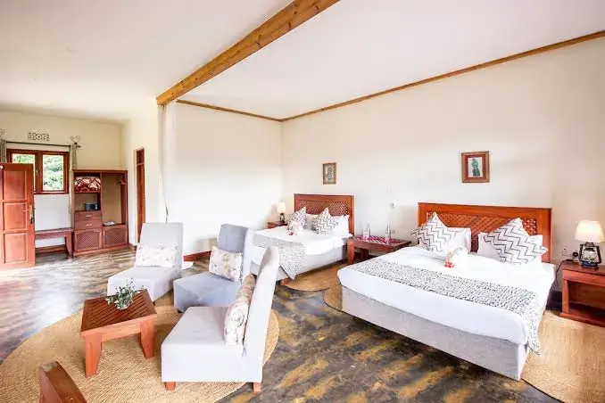 Spacious safari lodge room with a sitting area