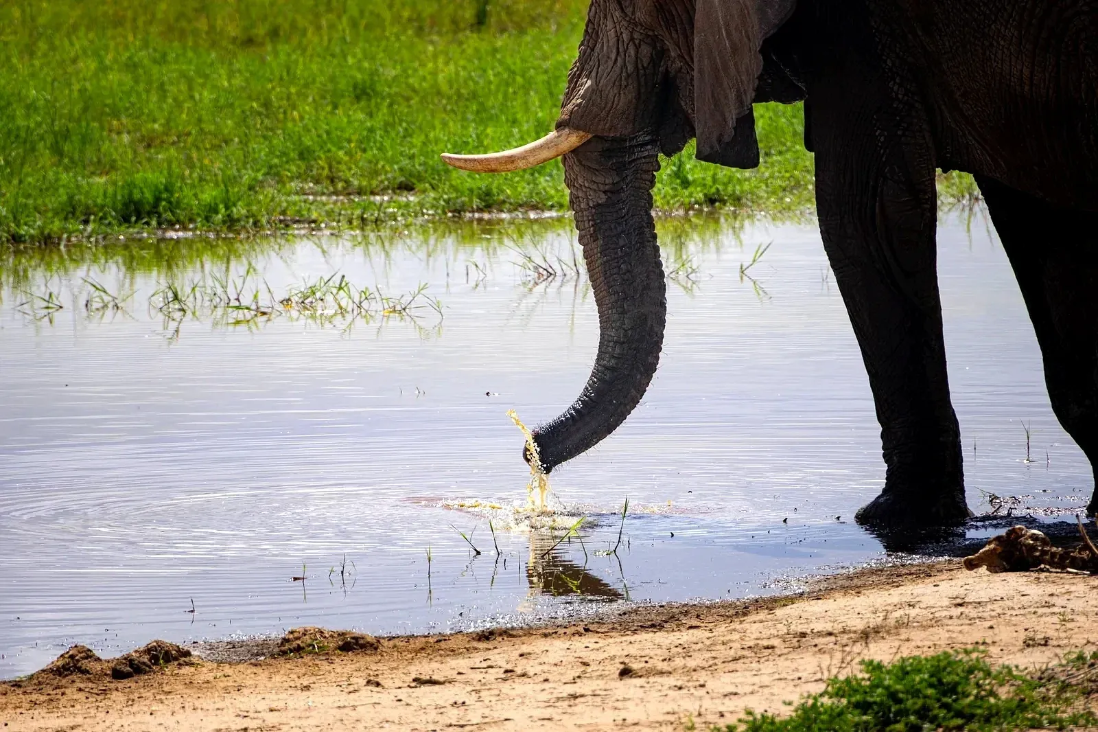 Ngorongoro Crater, Tanzania — Yera Journeys