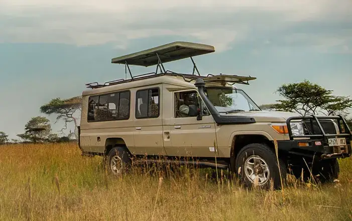 Private safari Land Cruiser with a pop-up roof