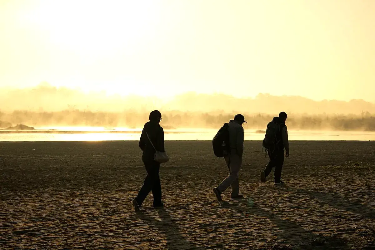 Guides leading guests on a walking safari at sunrise