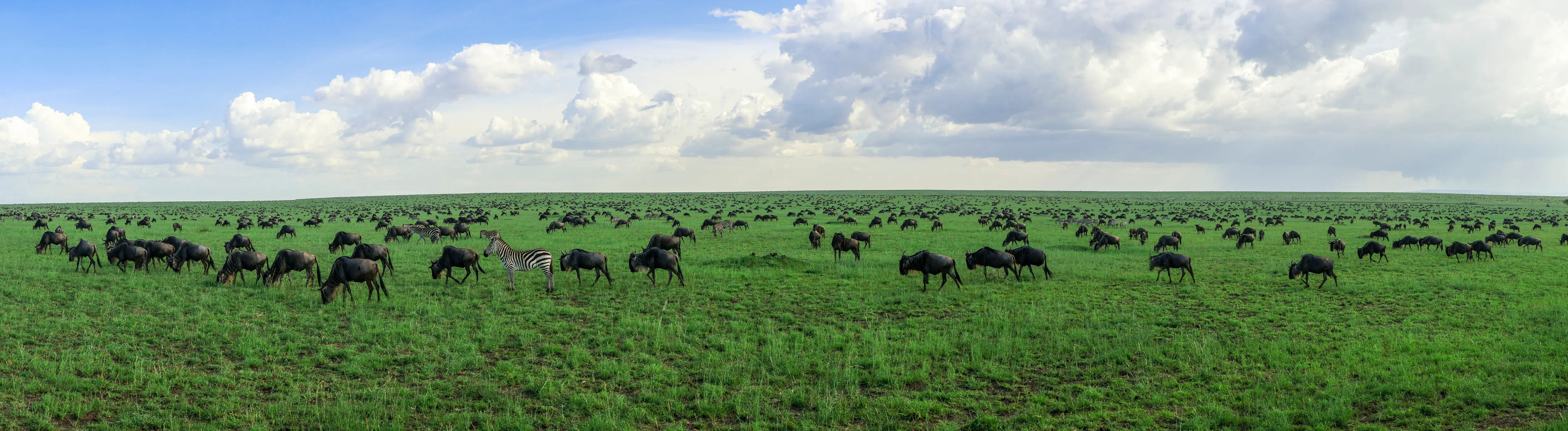 Tanzania safari landscape at golden hour — Yera Journeys private safari operator, Arusha Tanzania