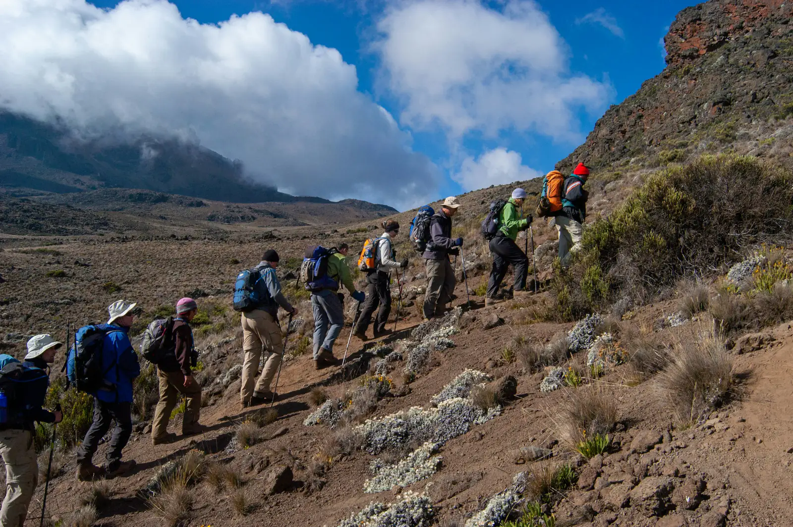 Trekkers climbing a rocky, heather-covered moorland trail on Kilimanjaro