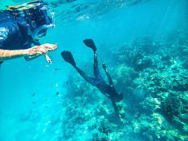 A snorkeler swimming over a coral reef