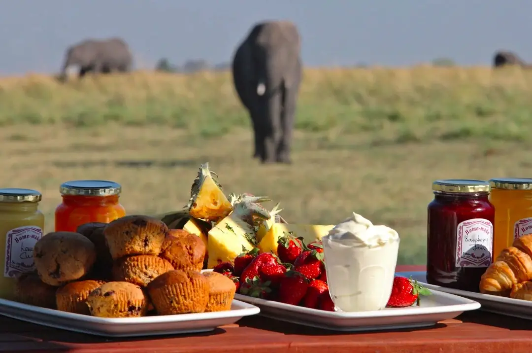 Bush dining on safari, Tanzania — Yera Journeys bespoke meal experience in the wild