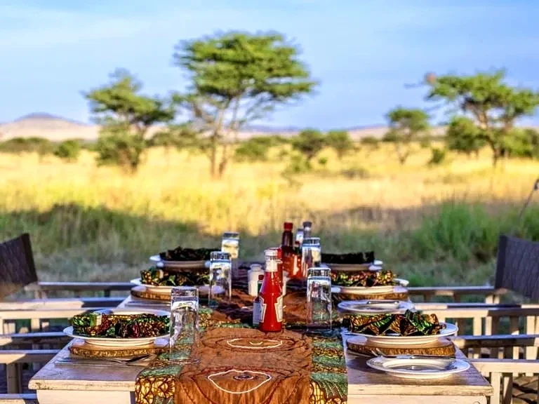 Dining setup during a Tanzania safari