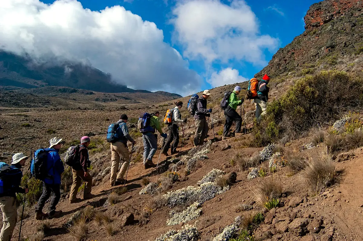 Group of climbers trekking up Mount Kilimanjaro in Tanzania