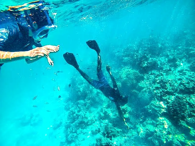 Snorkeling and diving over coral reefs in Zanzibar, Pemba and Mafia, Tanzania with Yera Journeys