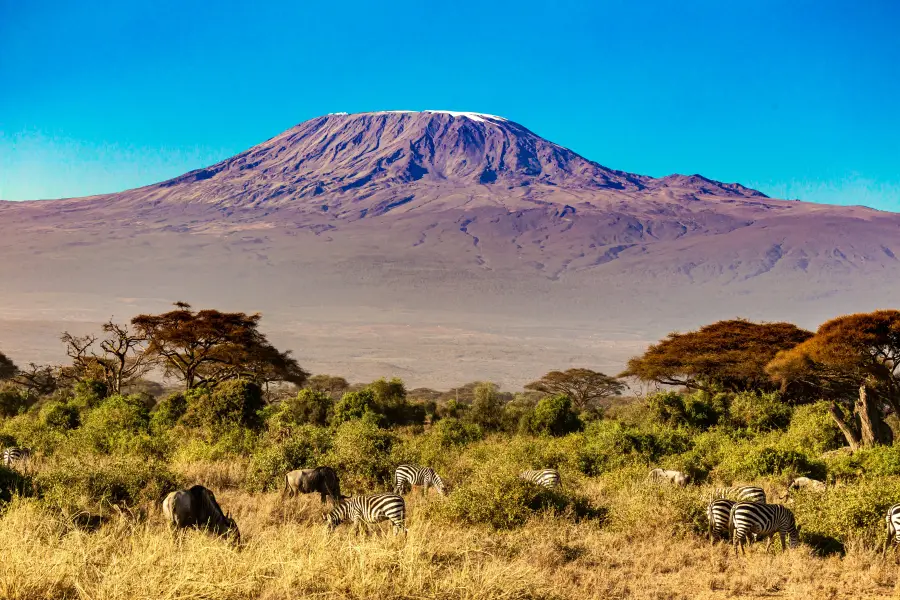 Kilimanjaro, Tanzania — The summit at dawn is worth every step.