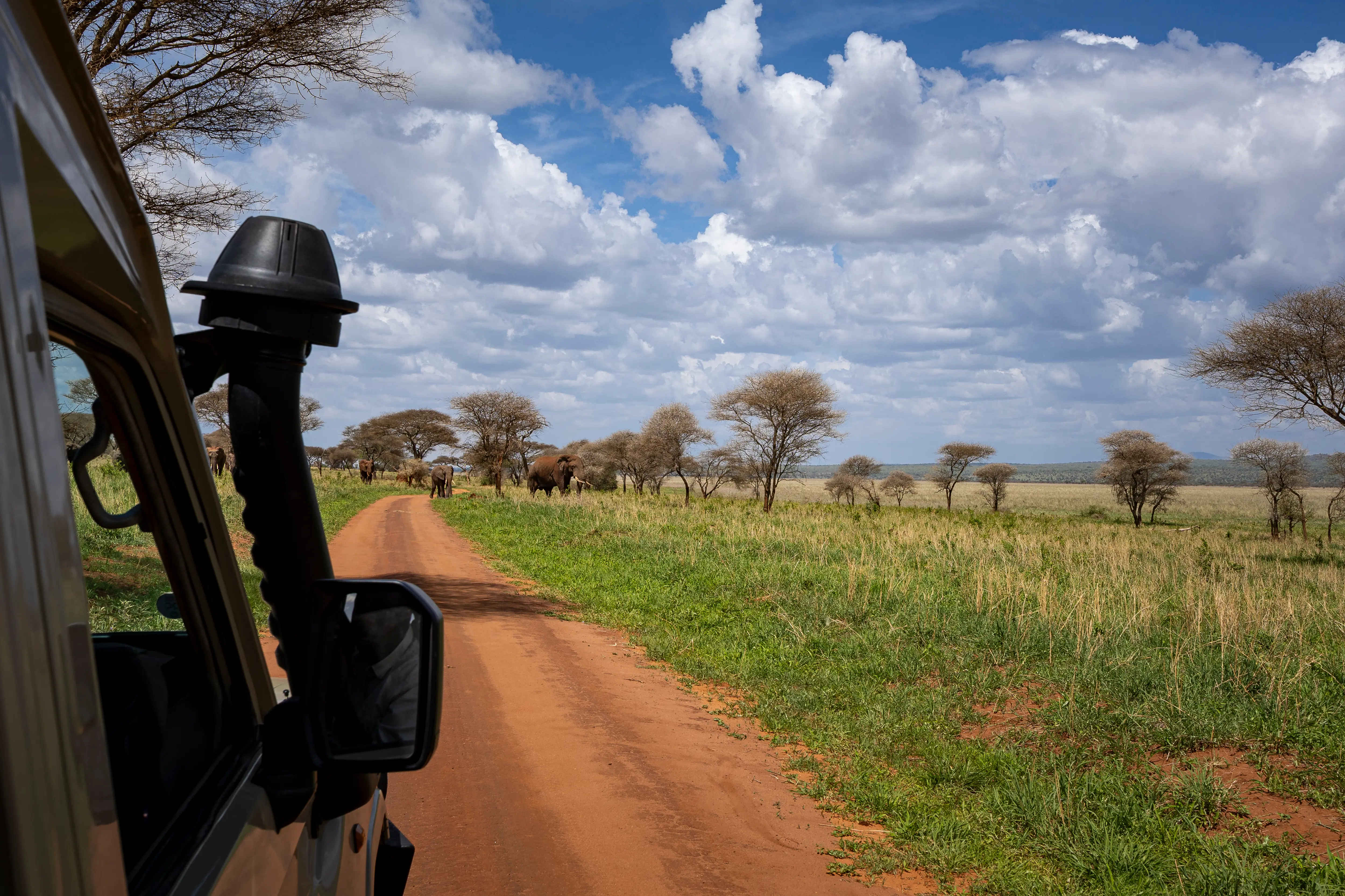 Private game drive day in Tanzania — Yera Journeys expert guide, Arusha-based safari operator